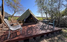 Eco-Camping De Helleborus, Yurt, Bell&Safari tent, Pipo, Caravans, Dorms&Units