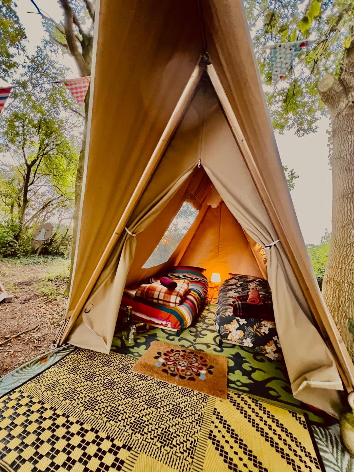 Eco-Camping De Helleborus, Yurt, Bell&Safari tent, Pipo, Caravans, Dorms&Units Groningue Extérieur photo