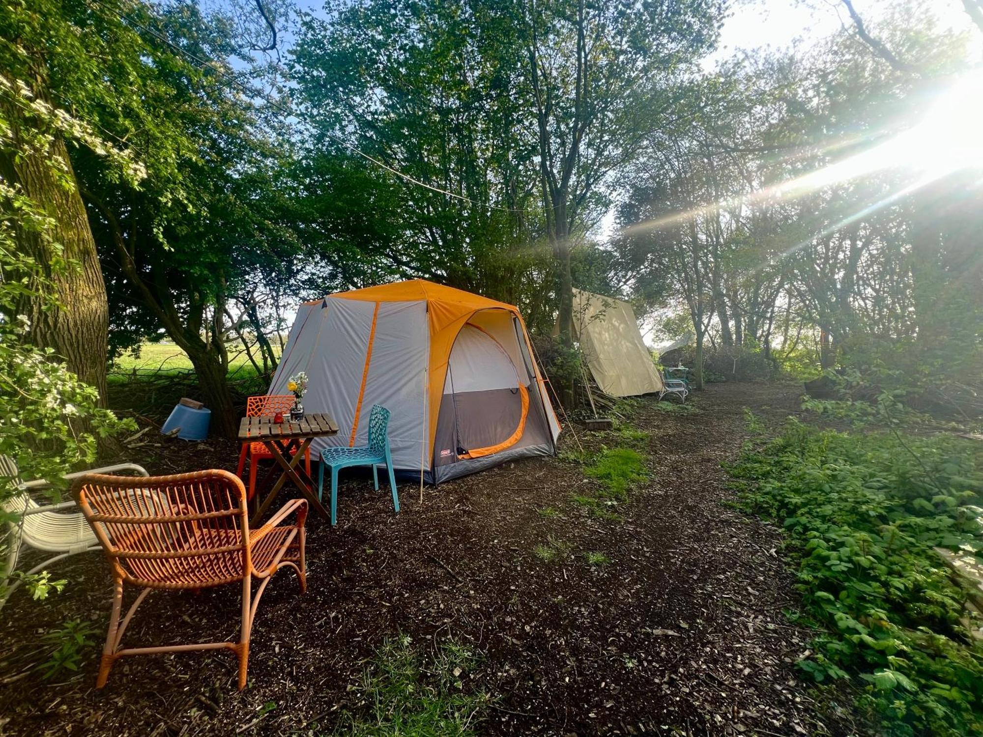 Eco-Camping De Helleborus, Yurt, Bell&Safari tent, Pipo, Caravans, Dorms&Units Groningue Extérieur photo