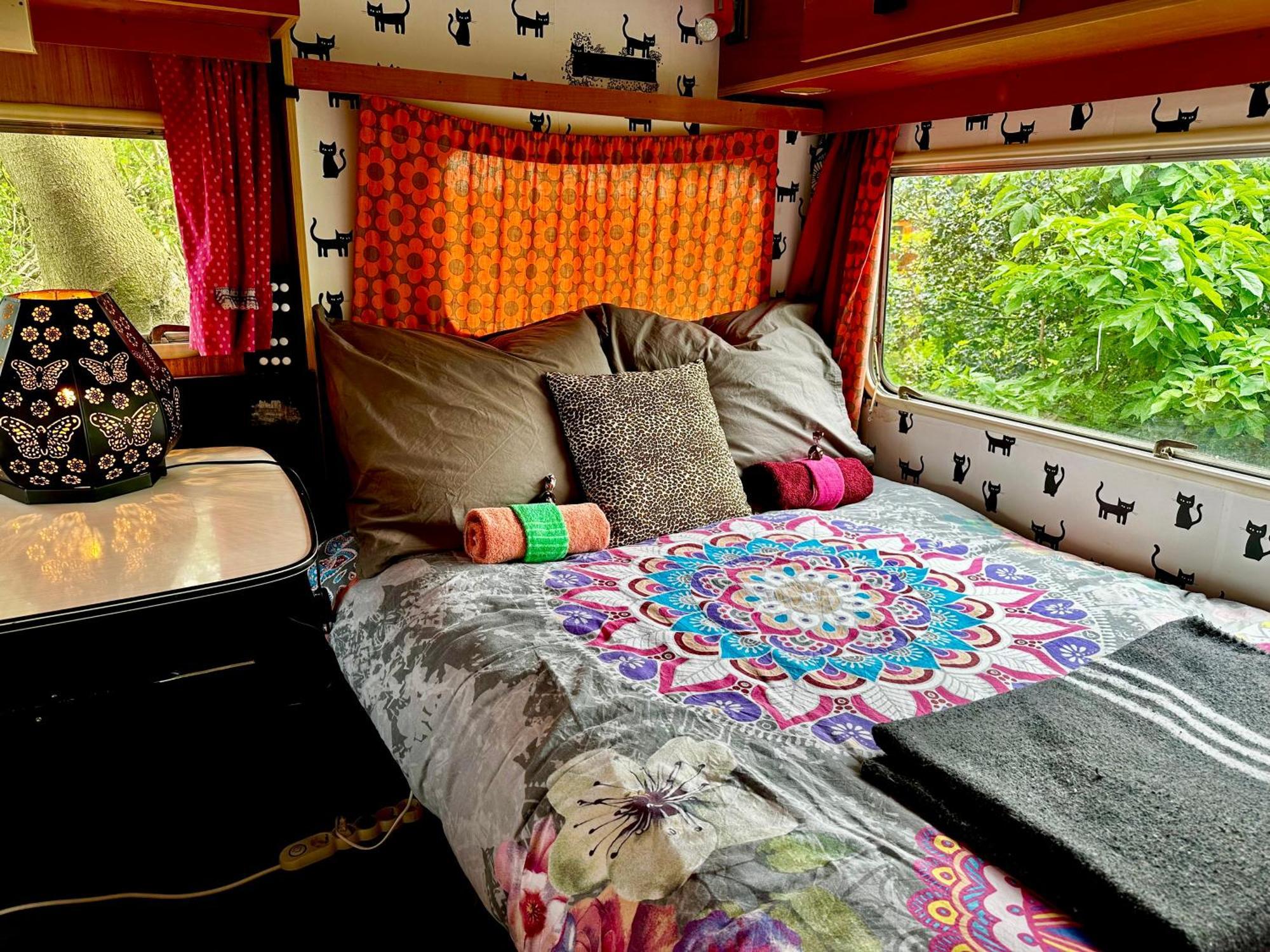 Eco-Camping De Helleborus, Yurt, Bell&Safari tent, Pipo, Caravans, Dorms&Units Groningue Extérieur photo
